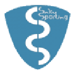 Saku Sporting crest