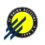 Union Nettetal crest