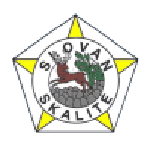 Slovan Skalité crest