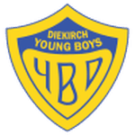 Young Boys crest