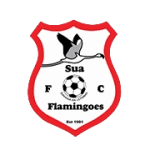 Sua Flamingoes crest