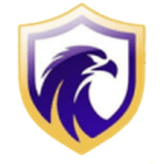Falcon U20 crest