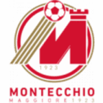 Montecchio Maggiore crest