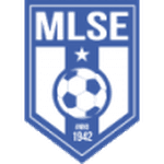 Martfűi LSE crest