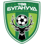 Central Stallions crest