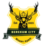 Berekum City crest