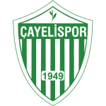 Çayelispor crest