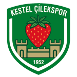 Kestel Çilek crest