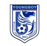 Dalian Yingbo B crest