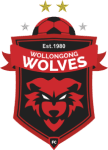 Wollongong Wolves U20 crest