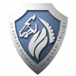Merani Tbilisi crest