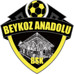 Beykoz Anadolu crest
