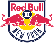 New York RB II crest