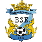 Balassagyarmat VSE crest