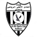 Al Ahli Wad Medani crest