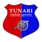 Tunari crest