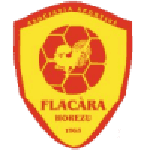 Flacăra Horezu crest