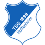 Hoffenheim U19 crest