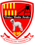 Bedlington Terriers FC crest