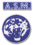 Vénissieux crest
