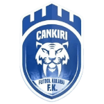 1074 Çankırıspor crest