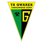 Gwarek Tarnowskie Góry crest